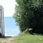 Villa Beachside House Sperlonga