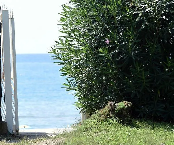 别墅 Beachside House 斯佩隆加